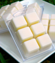 Load image into Gallery viewer, Birthday Sex (Wax Melt) 6 Fragrances