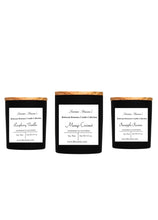 Load image into Gallery viewer, Summer Collection 9.5 oz candles (pack of 3)
